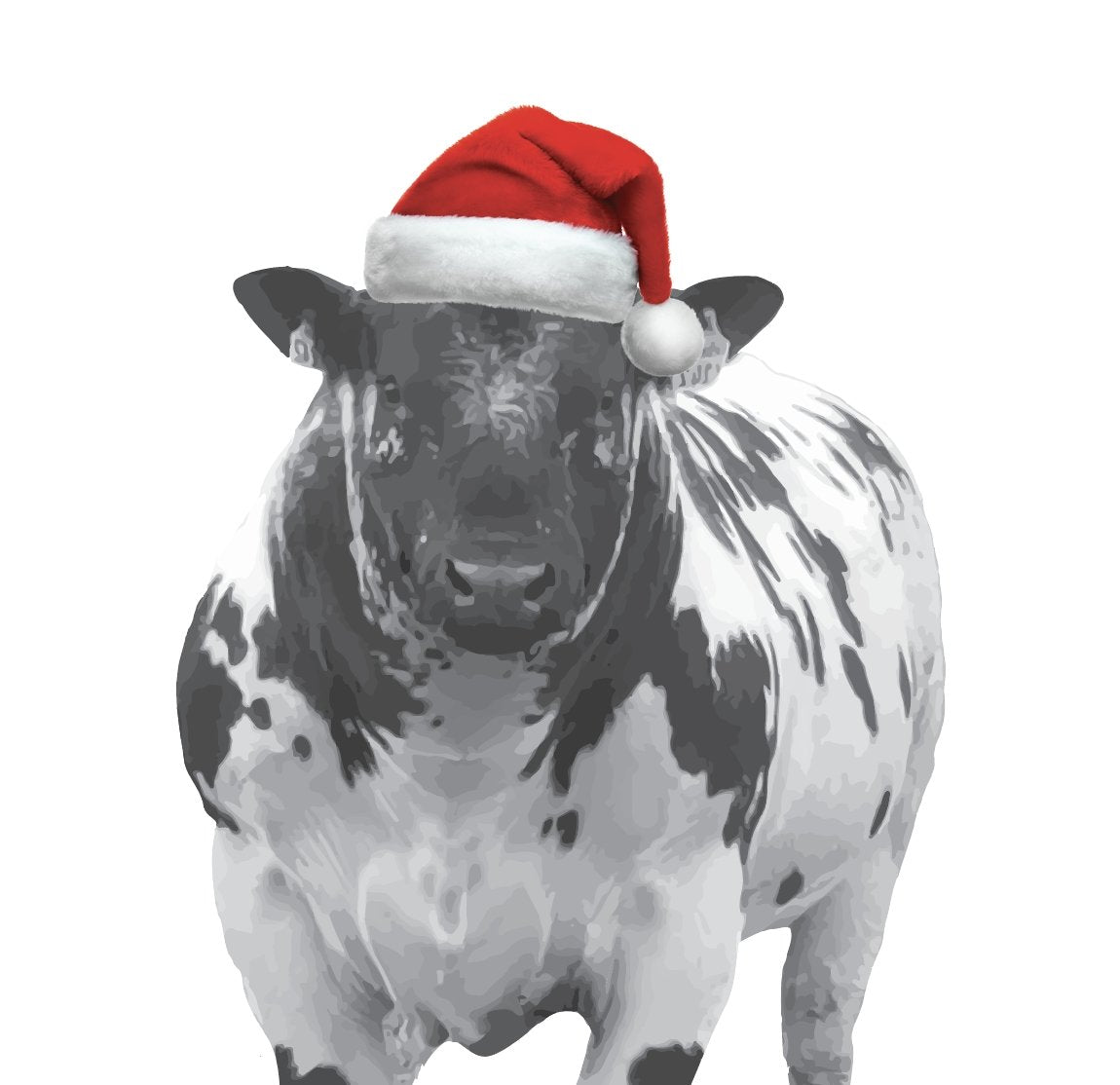A Very Homegrown Christmas | Homegrown Butchery