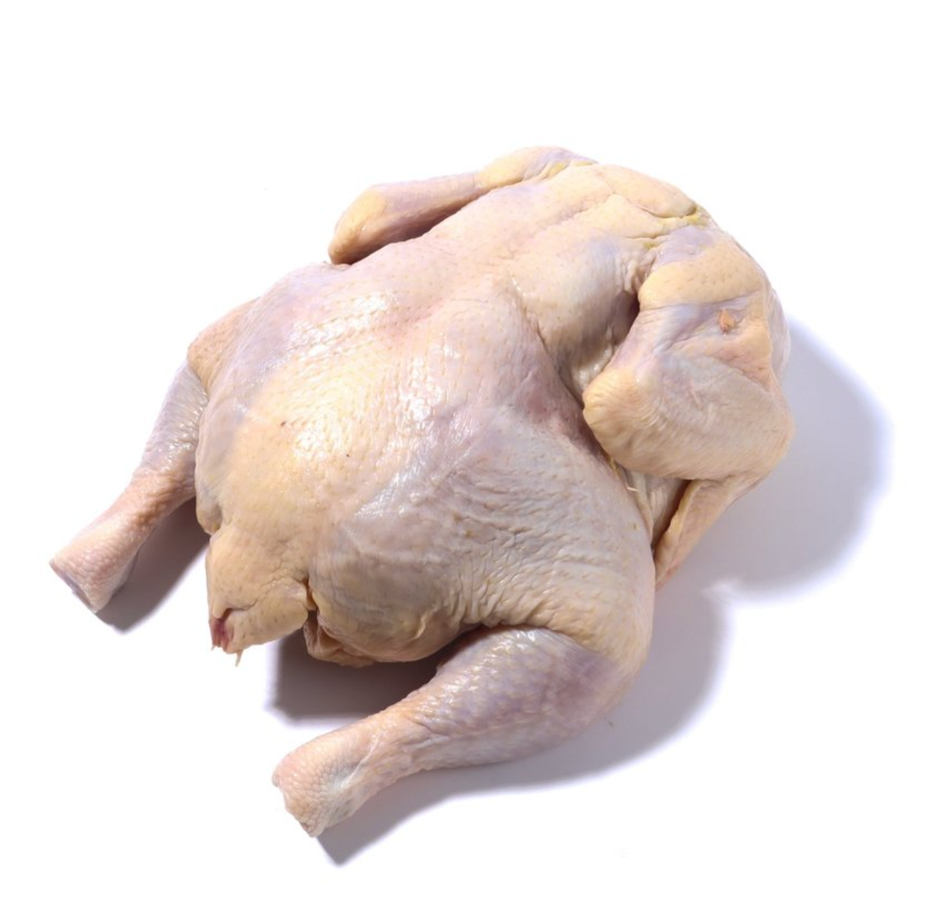 Chicken | Homegrown Butchery