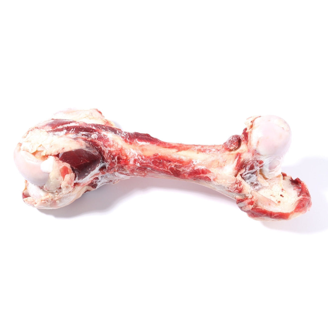 Homegrown Butchery Cannon Bone